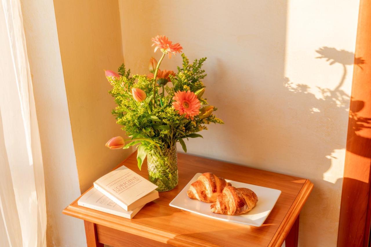 Bed and Breakfast Mediterraneo Tartufoexperience à Pizzo  Extérieur photo